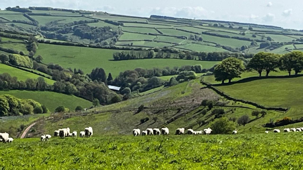 Exmoor Retreat On Two Moors Way Withypool Exterior foto
